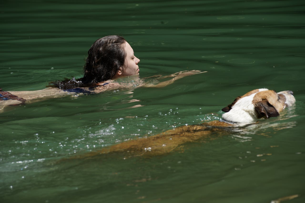 A woman swimming in the water with a dog